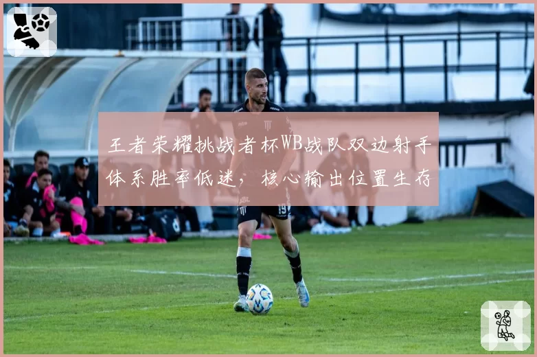 王者荣耀挑战者杯WB战队双边射手体系胜率低迷,核心输出位置生存空间受版本挤压几何?