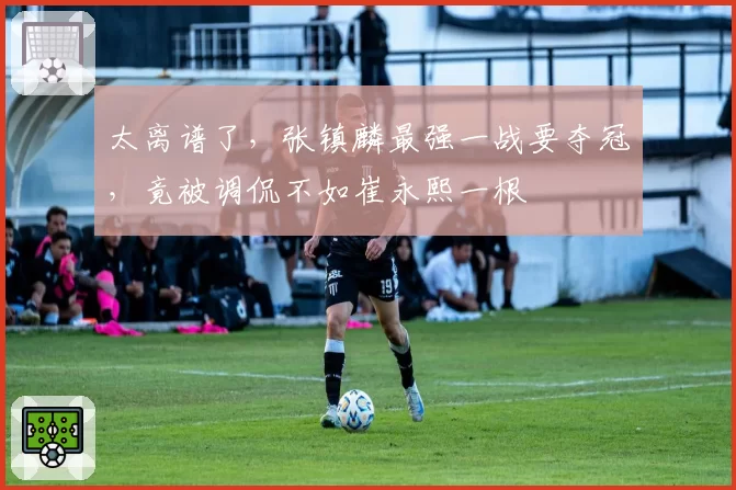 太离谱了，张镇麟最强一战要夺冠，竟被调侃不如崔永熙一根
