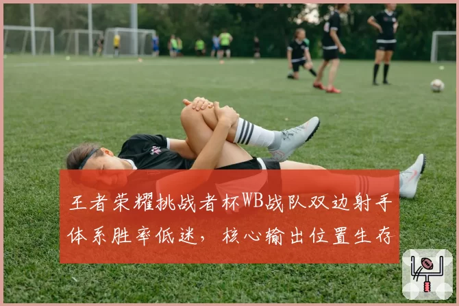 王者荣耀挑战者杯WB战队双边射手体系胜率低迷,核心输出位置生存空间受版本挤压几何?